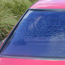 purple window tint due to cheap window film quality